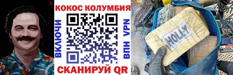 Купить закладки  Борзя  Cocaine FishScale 