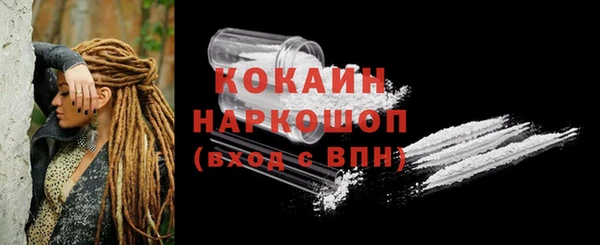 стаф Корсаков