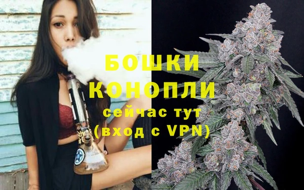 стаф Корсаков