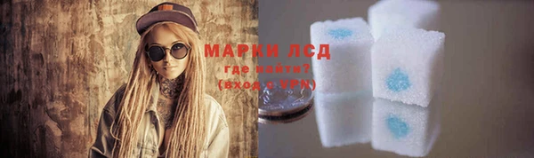 стаф Корсаков
