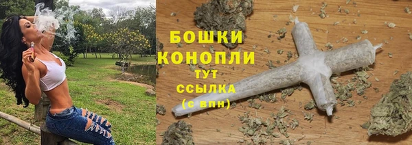 стаф Корсаков