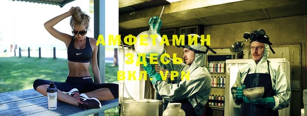 стаф Корсаков