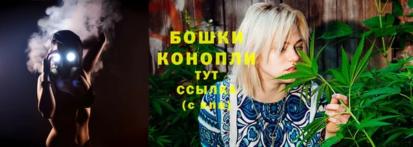 стаф Корсаков