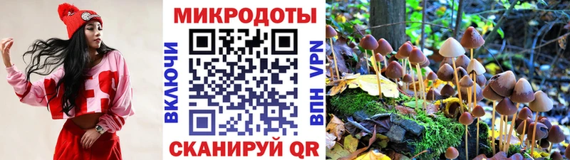 Купить где  Борзя  Галлюциногенные грибы мухоморы 